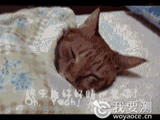4.gif